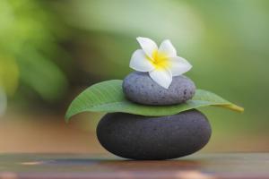 Трансцендентална Медитација – најдобриот подарок кој може да си подарите себеси