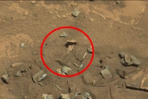 Бутна коска пронајдена на Марс?!