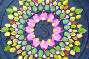 „Данмала” цветни кругови од Кети Клајн