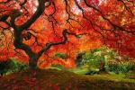 Прекрасните бои на есента