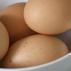 Кои јајца се свежи