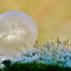 Неверојатни фотографии на замрзнати меурчиња од сапуница