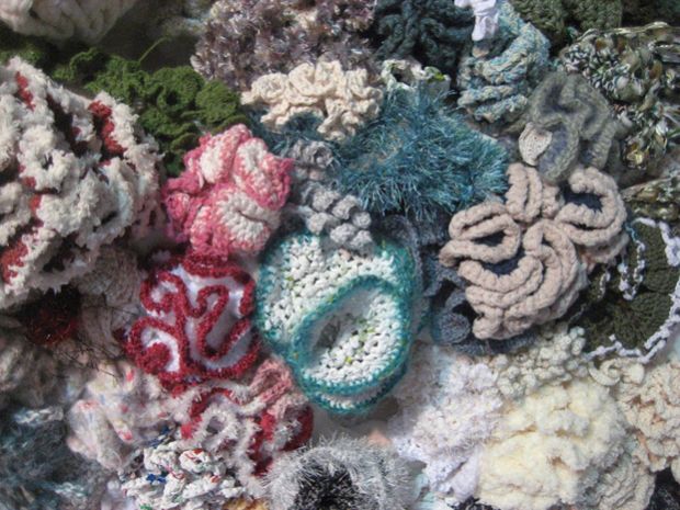 Плетени корални гребени, Pleteni koralni grebeni, korali, grebeni, koralni grebeni, корали, гребени, корални гребени