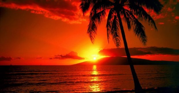 хаваи, плажа, havai, palmi, палми, зајдисонце