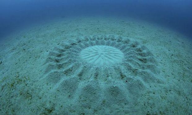 Подводни песочни кругови, Podvodni pesocni krugovi