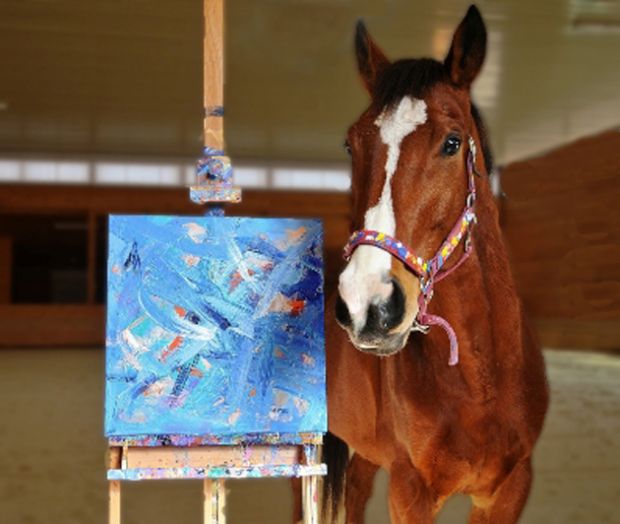 Metro Meteor, trkacki konj, slikar, тркачки коњ, сликар
