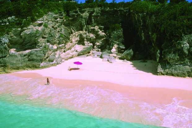 najinteresnite plazi vo svetot, најинтересните плажи во светот, розовата плажа во Бермуда, rozovata plaza vo Bermuda