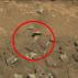 Бутна коска пронајдена на Марс?!
